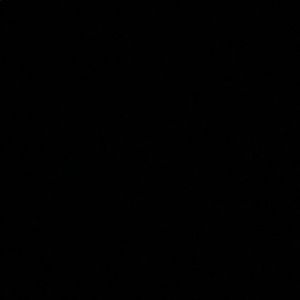 Meet your Posher, Aaliyah